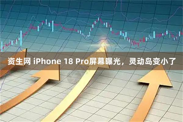 资生网 iPhone 18 Pro屏幕曝光，灵动岛变小了